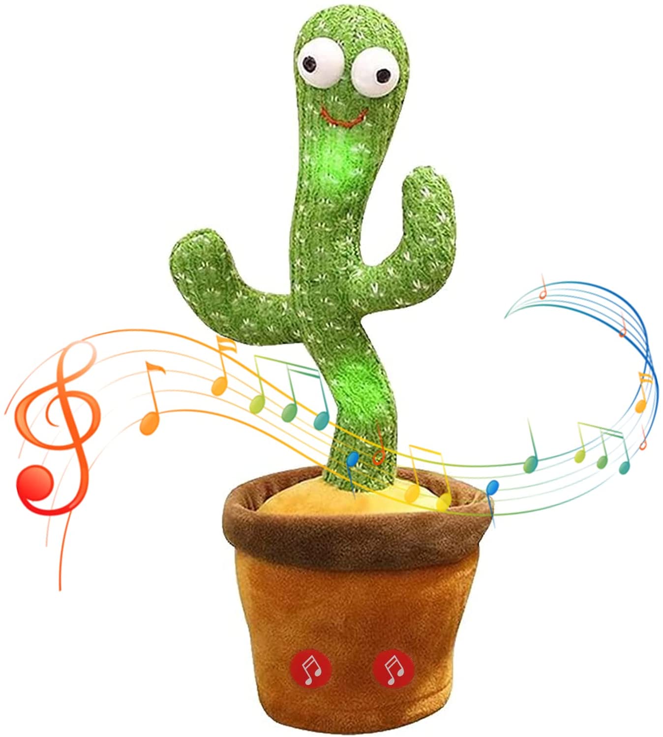 کاکتوس رقصنده, خرید کاکتوس رقصنده, قیمت کاکتوس رقصنده, سفارش کاکتوس رقصنده, کاکتوس رقصنده تخفیف ویژه, تخفیفانه کاکتوس رقصنده, کاکتوس, رقصنده, Dancing Cactus, کاکتوس رقصنده Dancing Cactus,Magic pot of dancing cactus,Magic pot of dancing cactus,